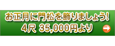 banner-kadomatsu
