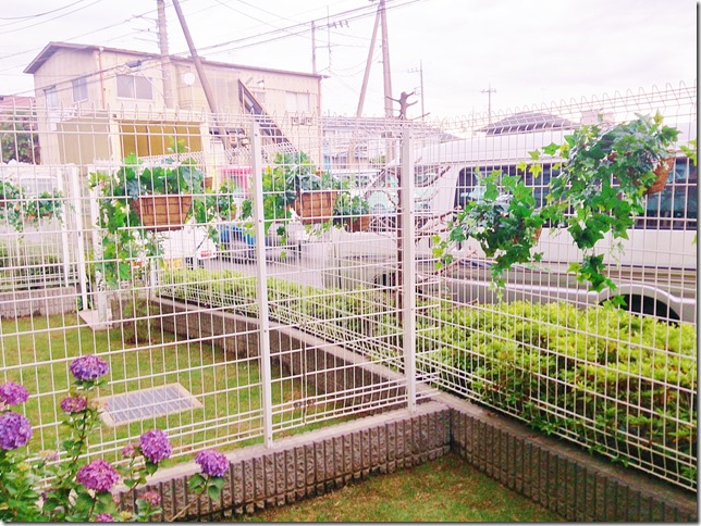 ma-mati-2_thumb