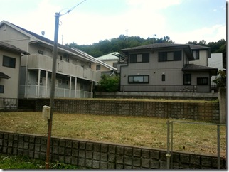 ninokusa1a_thumb