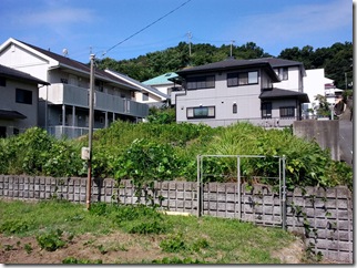 ninokusa1b_thumb