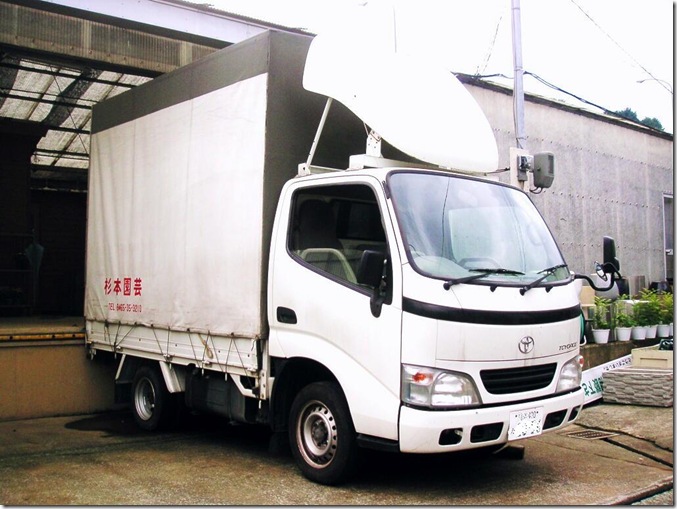 cargo