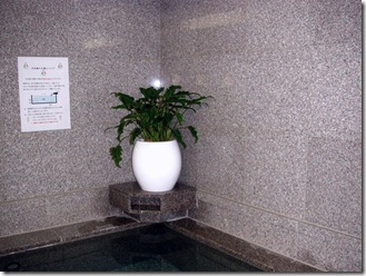 hokkeclub2_3