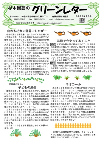 newsletter-s