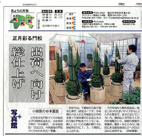 newspaper